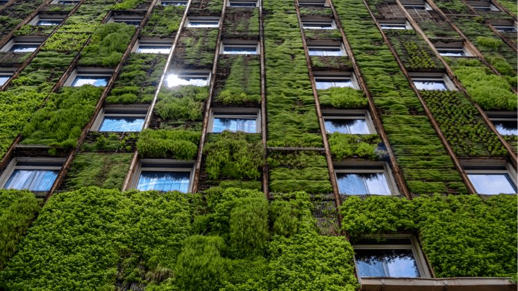 What is Green Building Design?