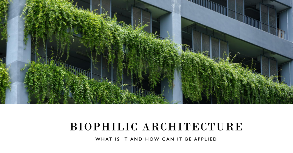 Biophilic Architecture What Is It And How Can It Be Applied