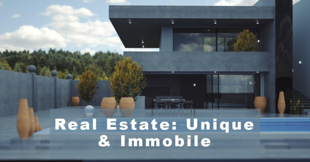Real Estate: Unique and Immobile Assets