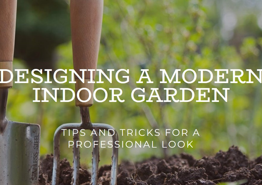 How To Design A Modern Indoor Garden