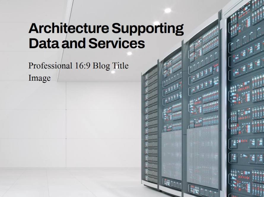 Which architecture supports the data and services architecture