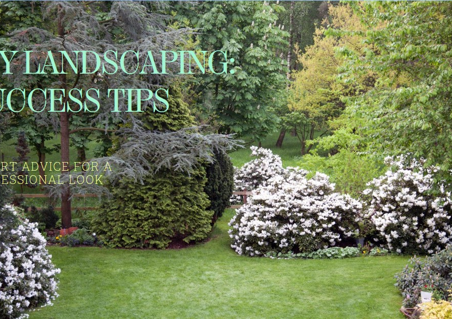 Can I Landscape My Own Yard Successfully?