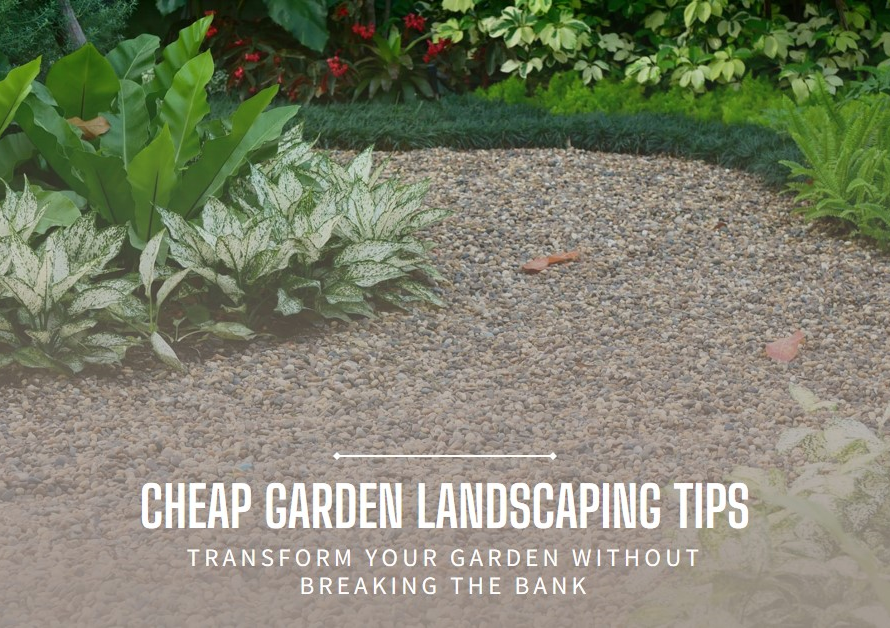 How Can I Landscape My Garden Cheaply?