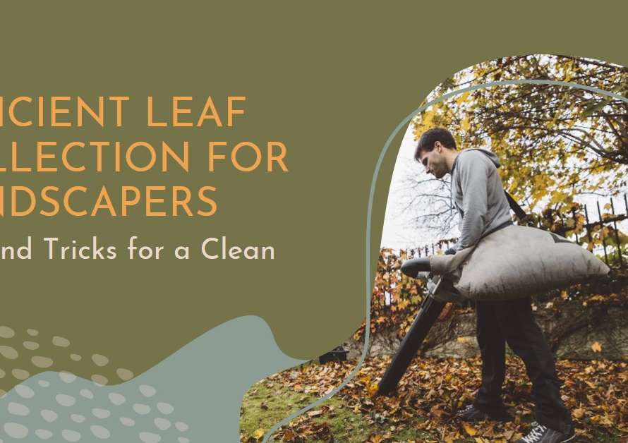 How Do Landscapers Pick Up Leaves Efficiently?