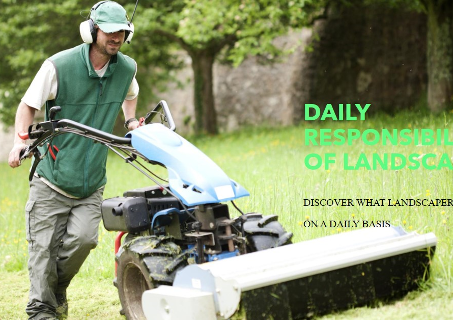 What Landscapers Do: Daily Responsibilities