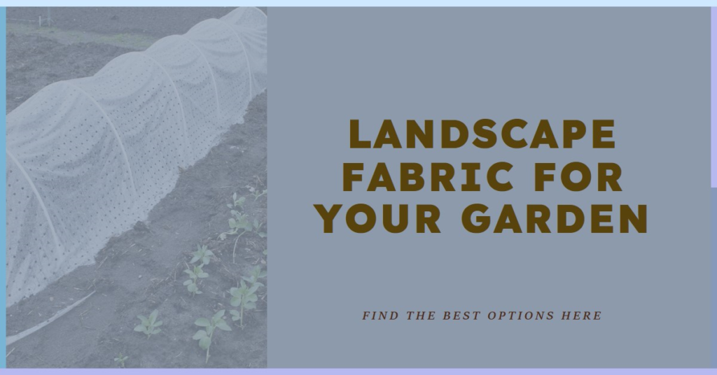 Where to Find Landscape Fabric for Your Garden