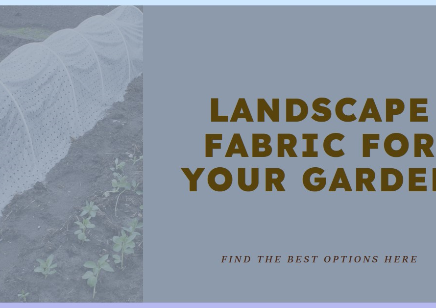 Where to Find Landscape Fabric for Your Garden