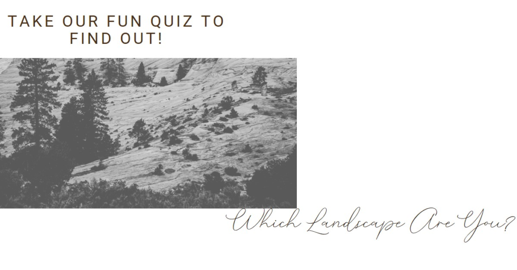 Which Landscape Am I: A Fun Quiz