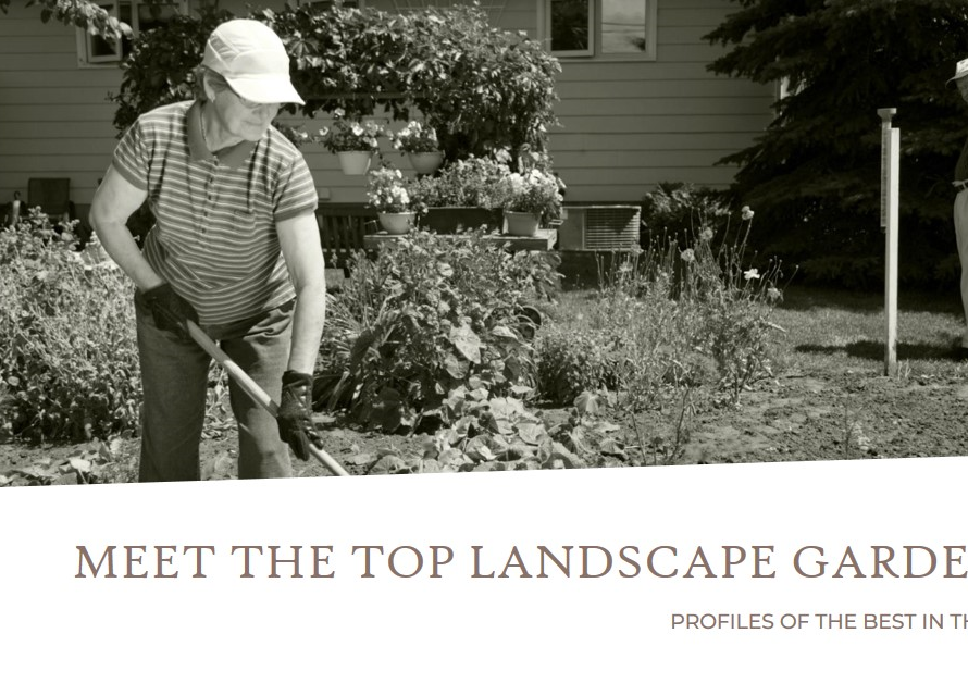 Who Landscape Gardener: Profiles of Top Pros