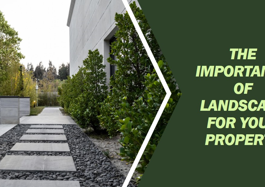 Why Landscape is Important for Your Property