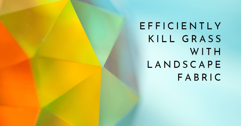 Will Landscape Fabric Kill Grass Efficiently?