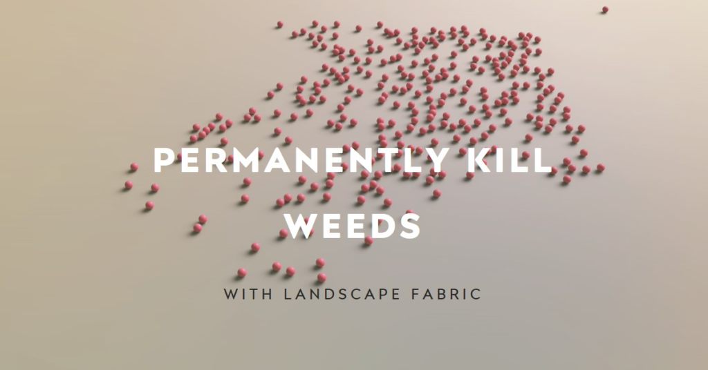 Will Landscape Fabric Kill Weeds Permanently?