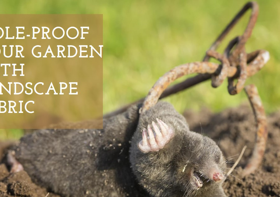 Will Landscape Fabric Keep Moles Out of Your Garden?