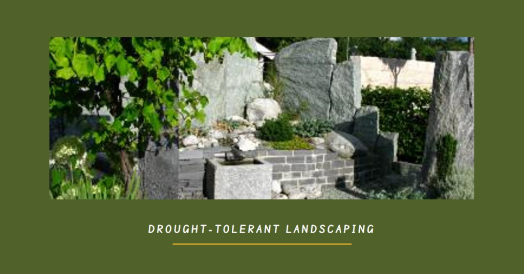 Landscape Without Water: Drought-Tolerant Options