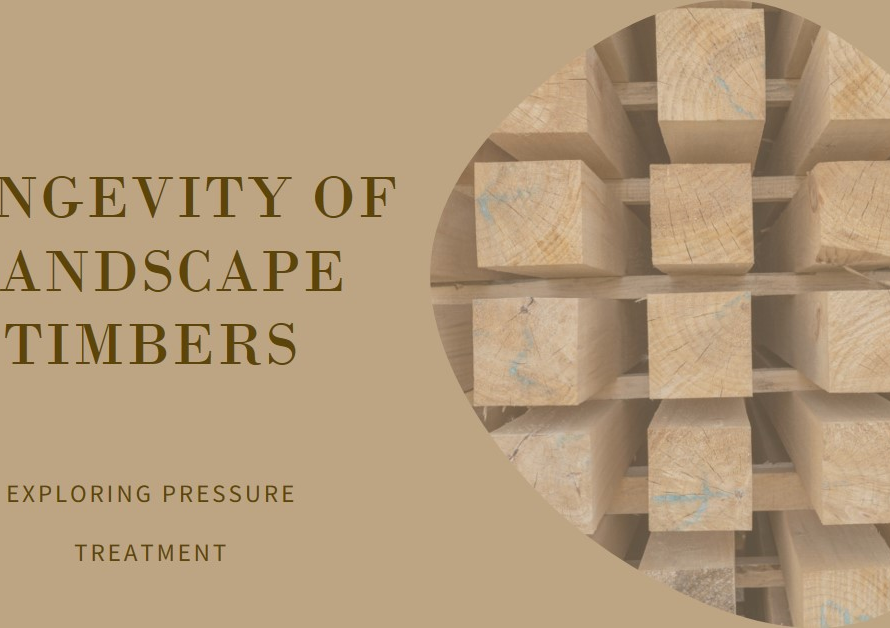 Are Landscape Timbers Pressure Treated for Longevity?