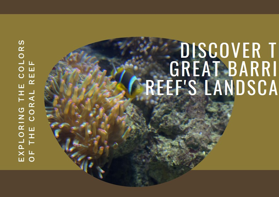 What Landscape is the Great Barrier Reef Associated With?