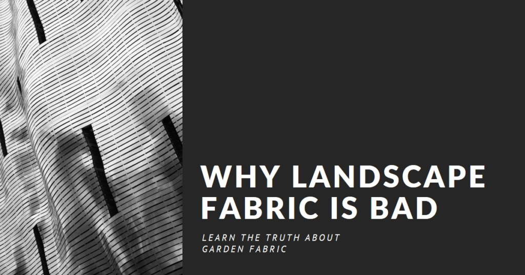 Why Landscape Fabric is Bad for Your Garden