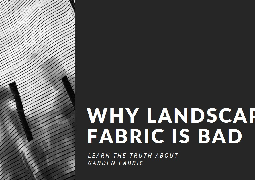 Why Landscape Fabric is Bad for Your Garden
