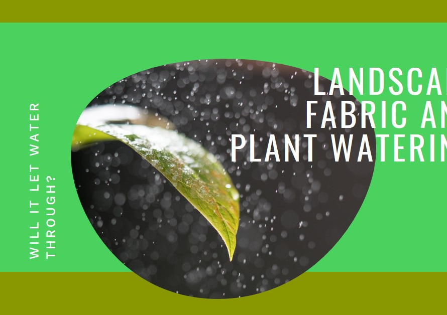 Will Landscape Fabric Let Water Through for Plants?