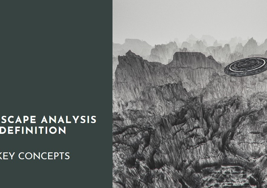 Landscape Analysis Definition: Key Concepts