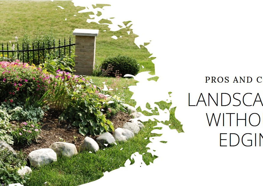 Landscape Without Edging: Pros and Cons