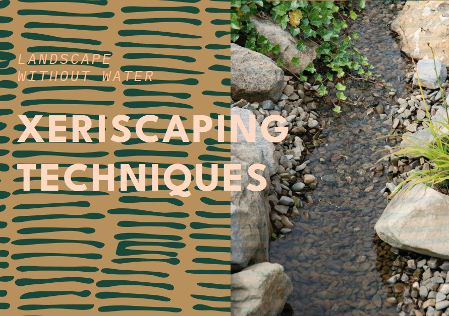 Landscape Without Water: Xeriscaping Techniques