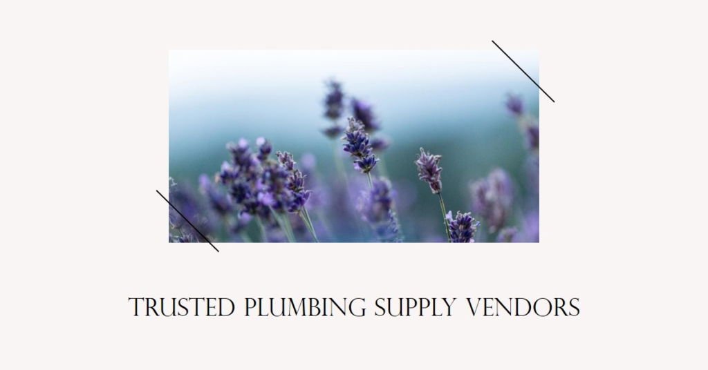 Who Provides Plumbing Supplies? Finding Trusted Vendors