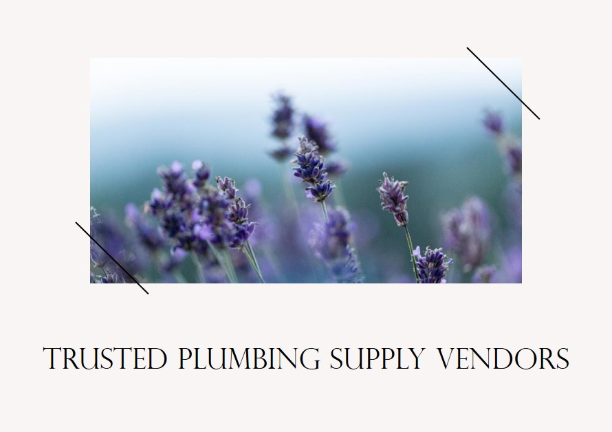 Who Provides Plumbing Supplies? Finding Trusted Vendors