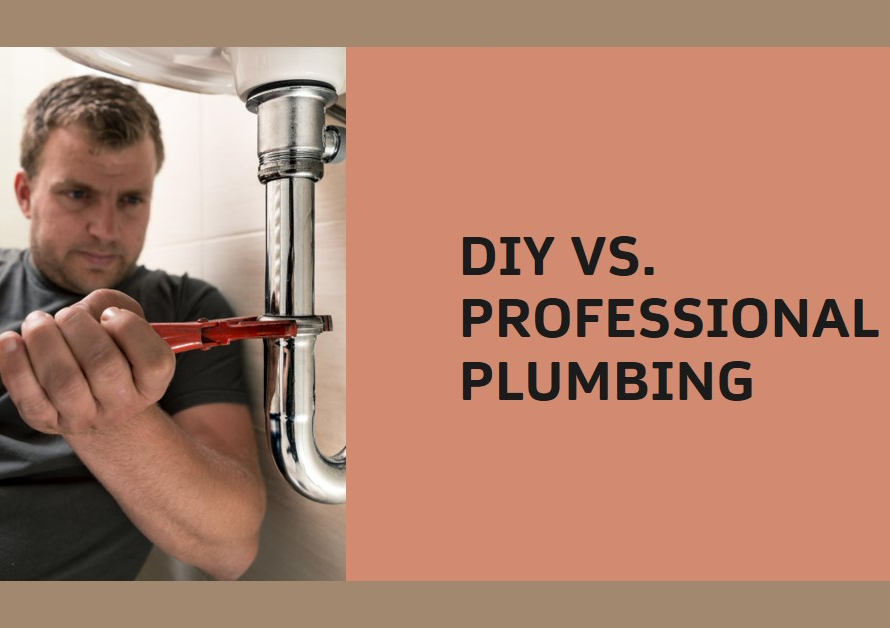 Can I Do Plumbing in My Own House? DIY vs. Professional