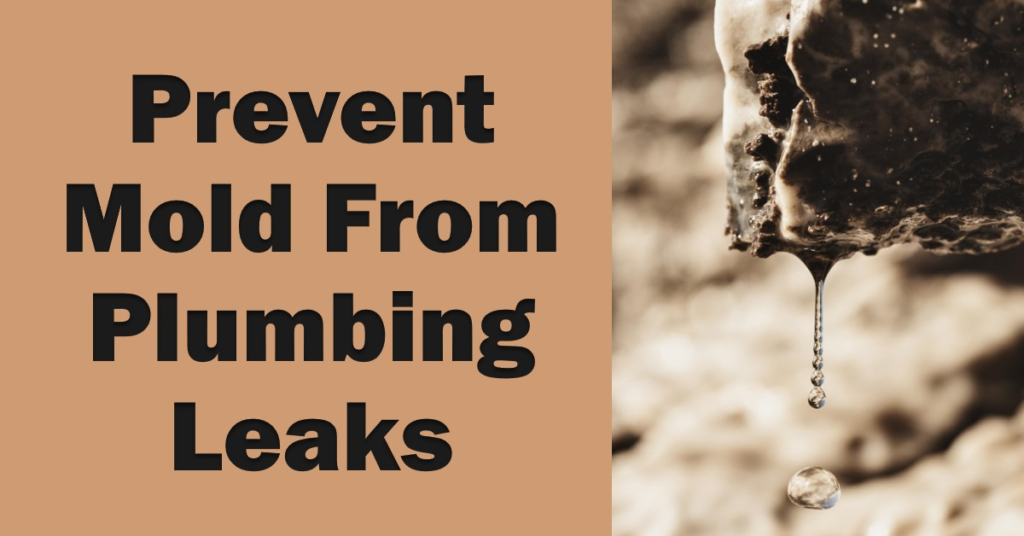 Will Plumbing Leaks Cause Mold? Prevention Tips