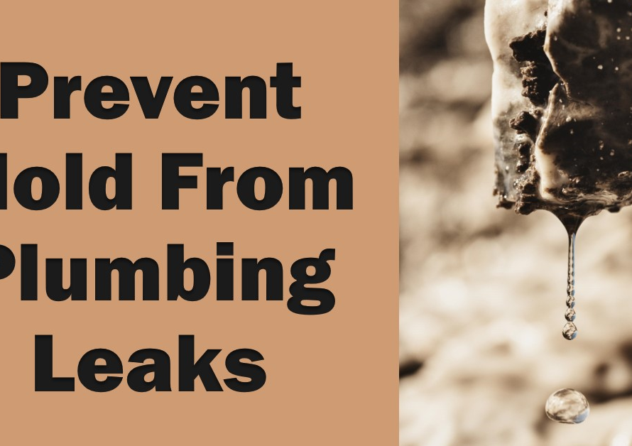 Will Plumbing Leaks Cause Mold? Prevention Tips
