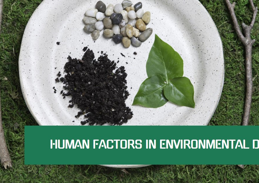 Human Factors in Environmental Design