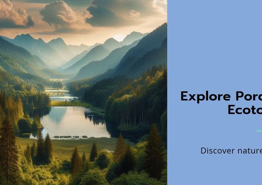 Pordarom Ecotourism Complex by Mohammadreza Kohzadi