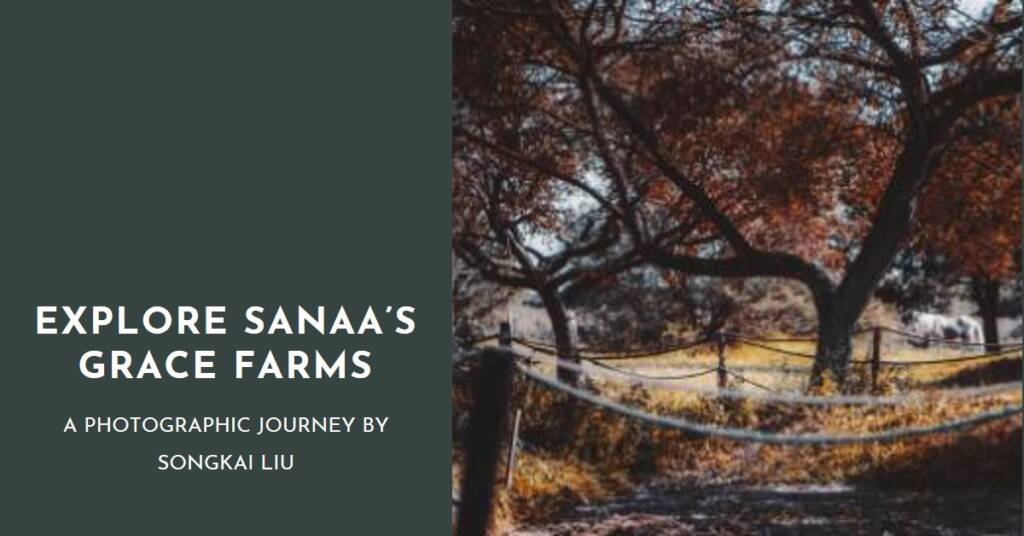 Sanaa’s Grace Farms: A Photographic Exploration by Songkai Liu
