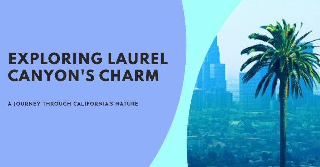 Laurel Canyon Revisited: Unpacking the Classic California Urban Ecosystem