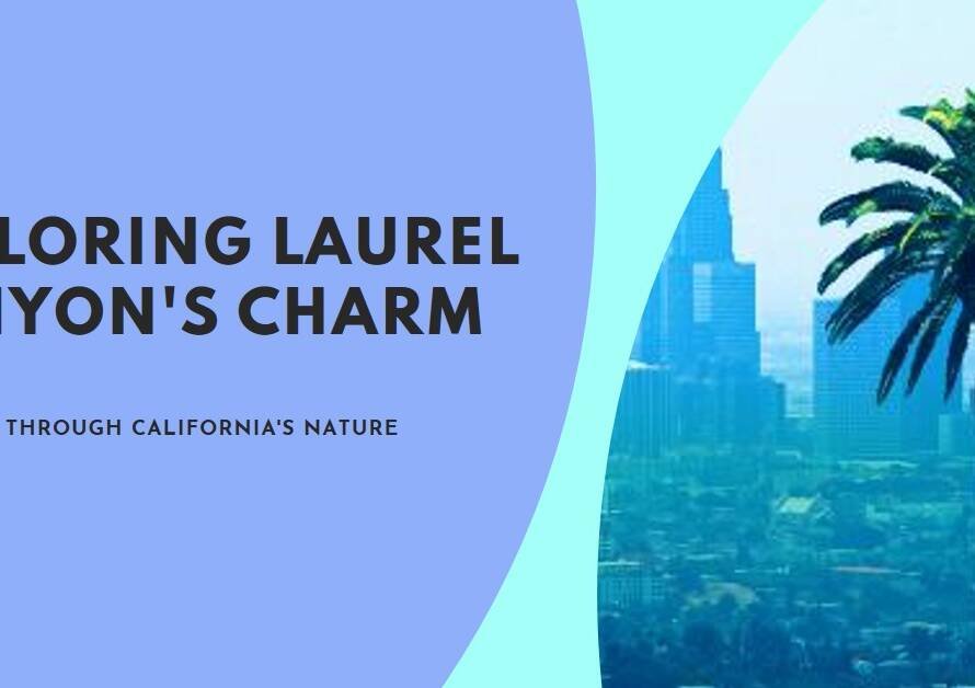 Laurel Canyon Revisited: Unpacking the Classic California Urban Ecosystem