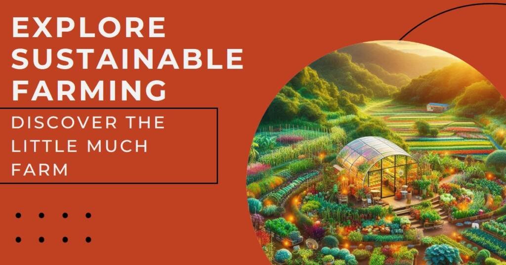 The Little Much Farm by Studio Lab: A Sustainable Agricultural Hub