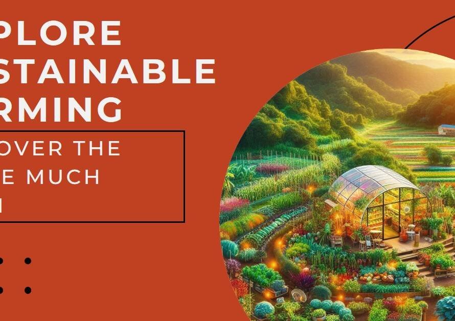 The Little Much Farm by Studio Lab: A Sustainable Agricultural Hub