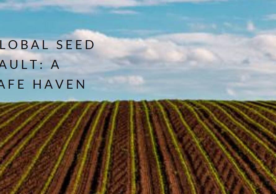 Global Seed Vault: Securing the Future of Food