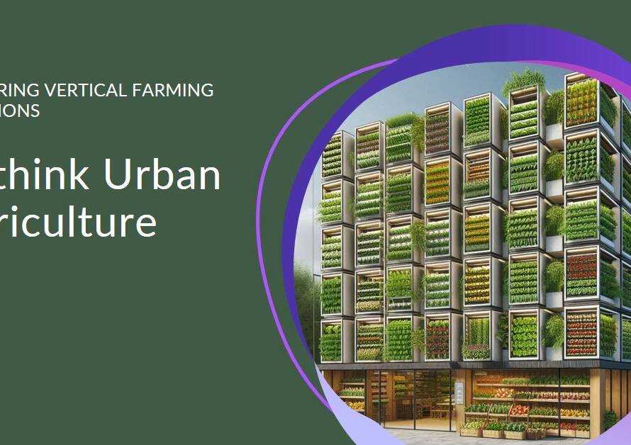 Vertical Farming: Rethinking Urban Agriculture