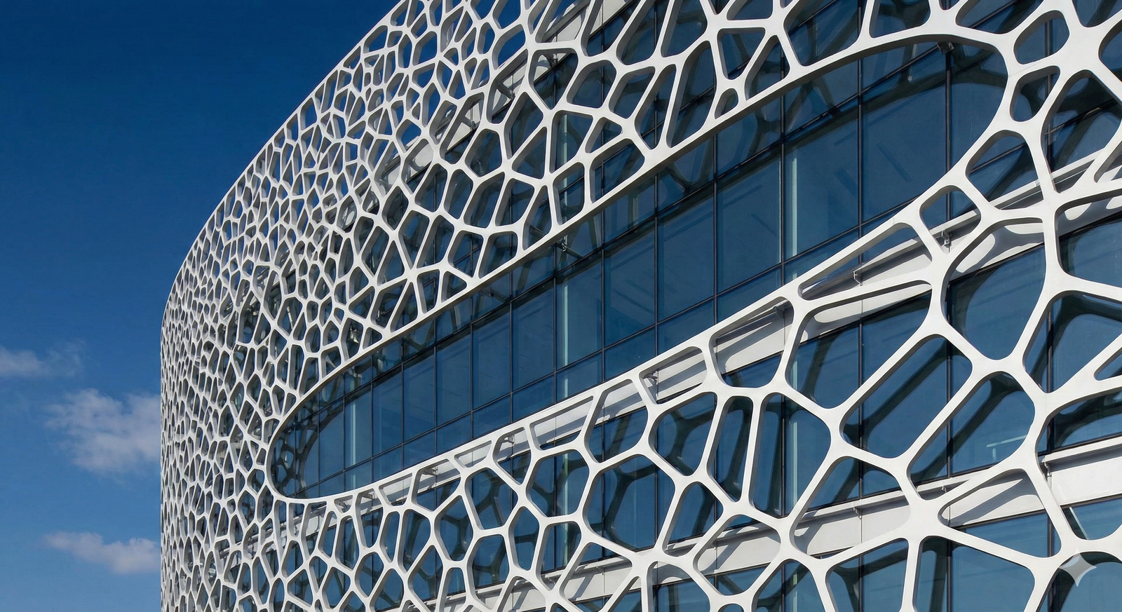 A Voronoi facade pattern generated using Parametric Design to optimize for sunlight and structural shading.